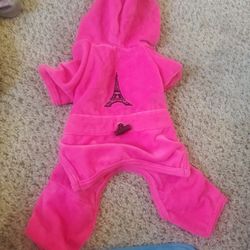 Girl Dog Outfit