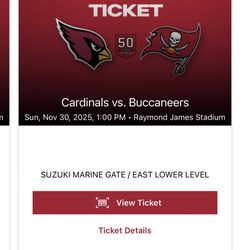Tampa Bay Buccaneers Vs. Arizona Cardinals 