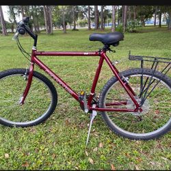 Mountain Bike. 100.00