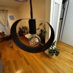 Home Made Ceiling Lamp With Exotic Wood Veneer. 