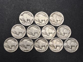 (12) Buffalo Nickels for Jewelry