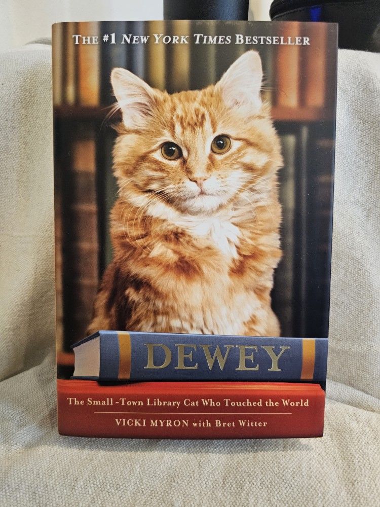 Dewey The Small-Town Library Cat Who Touched The World