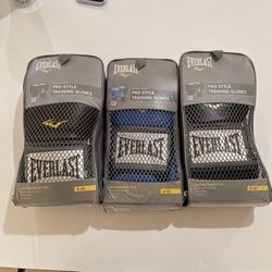 Everlast 8oz Boxing Gloves