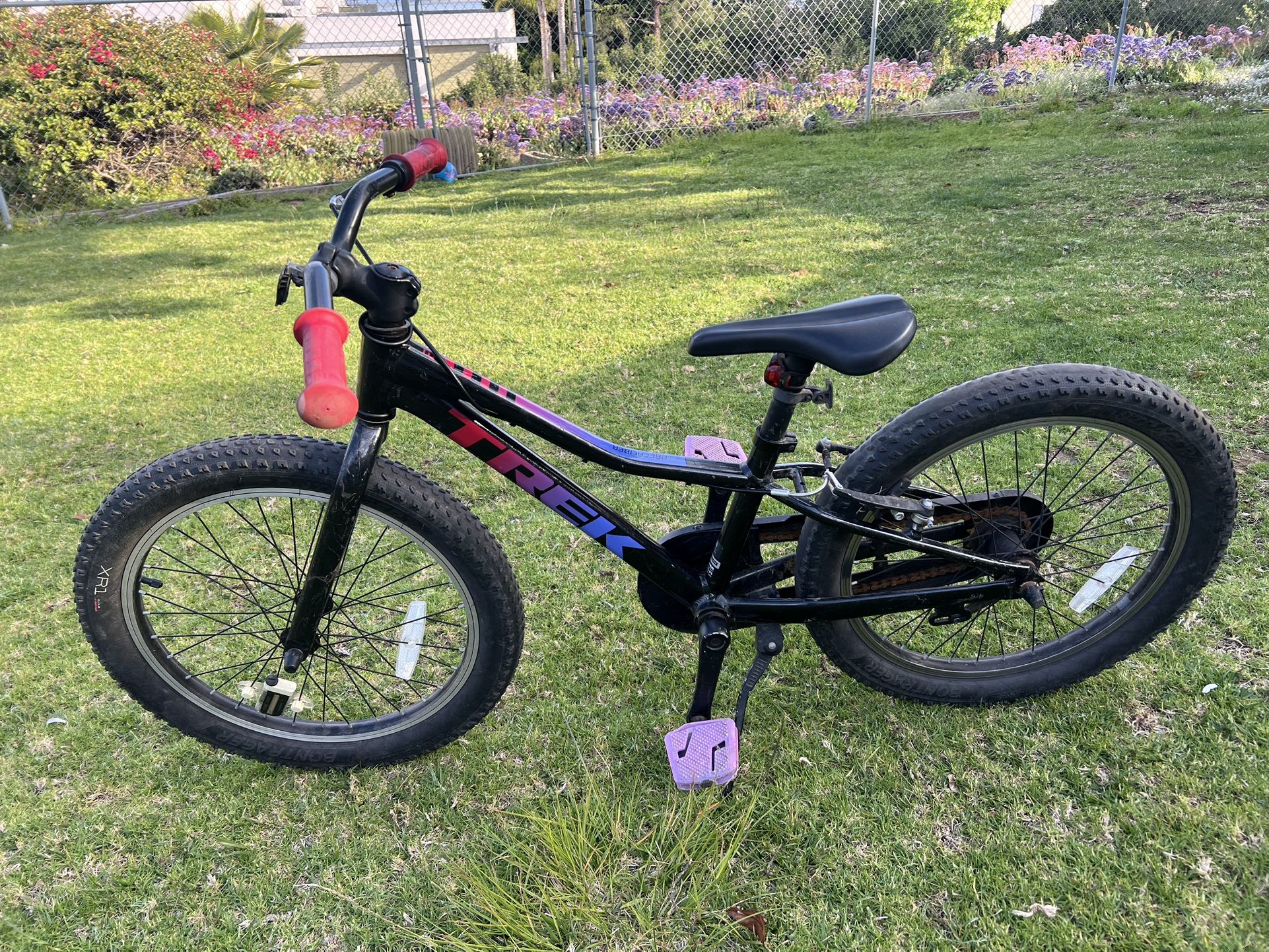 TREK PRECALIBER 20 Kids Bike
