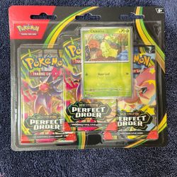 Perfect Order 3 Pack Blister
