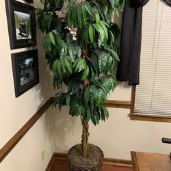 Artificial Tree/Plant
