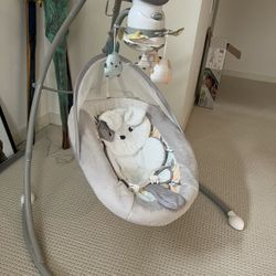 Fischer Price Infant Swing- Motorized