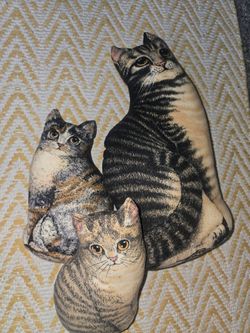 Cat Pillows