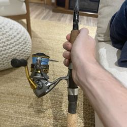 Shimano Sedona And Star Rod 