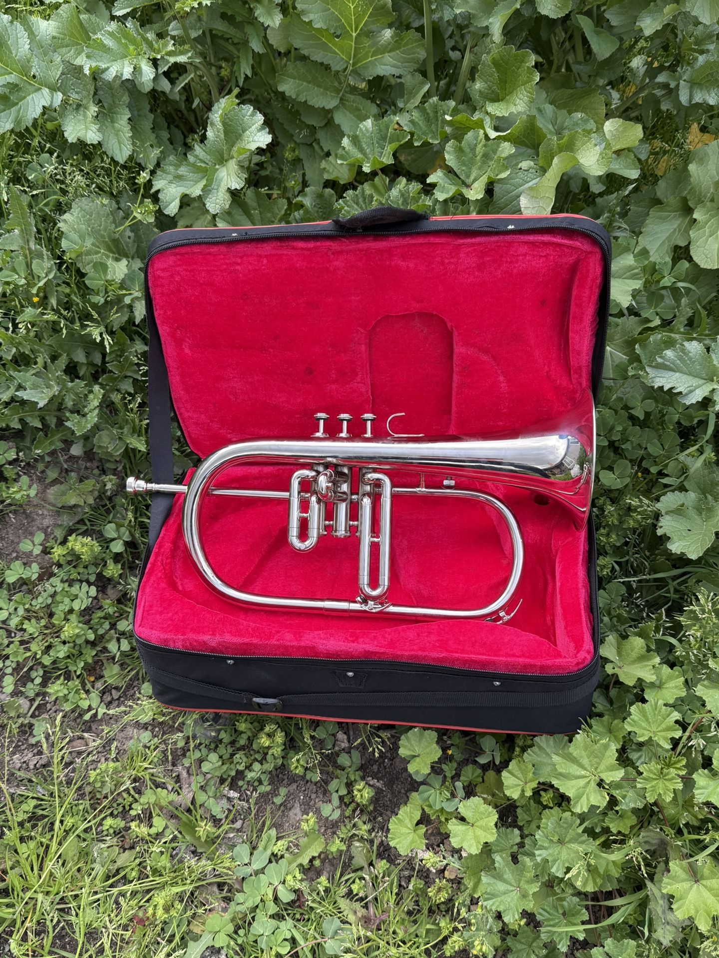 Beautiful 😻 Flugelhorn
