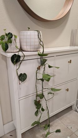 Two Big Pots With Plants Inside