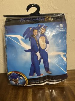 Sonic Costume