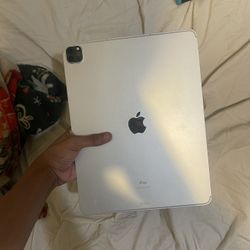 iPad 12.9 Inch 5 Gen Read Description 