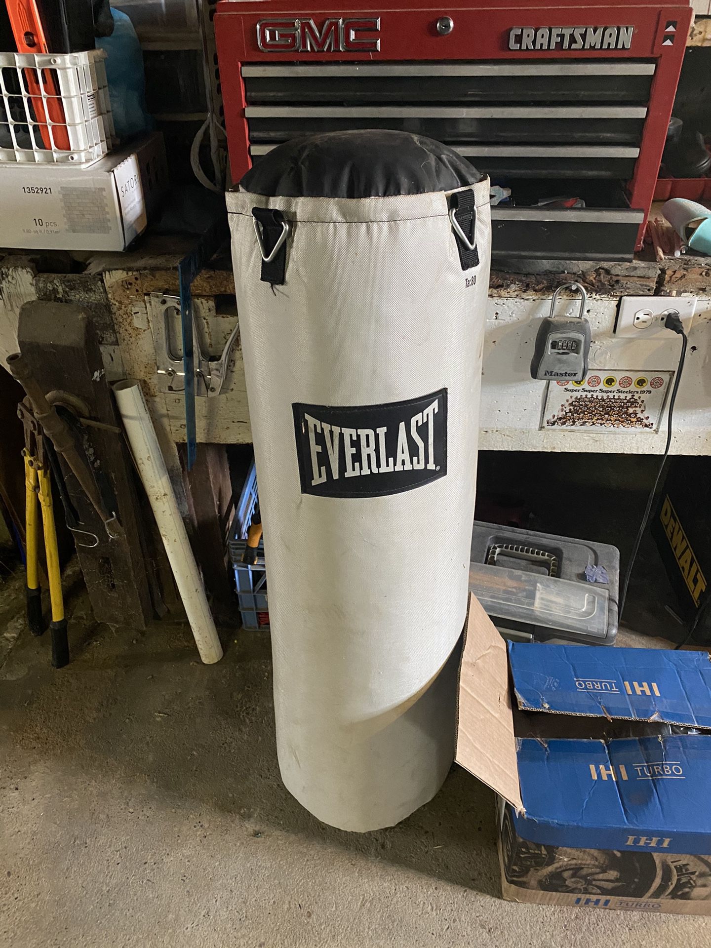 Everlast 80lb Punching Bag