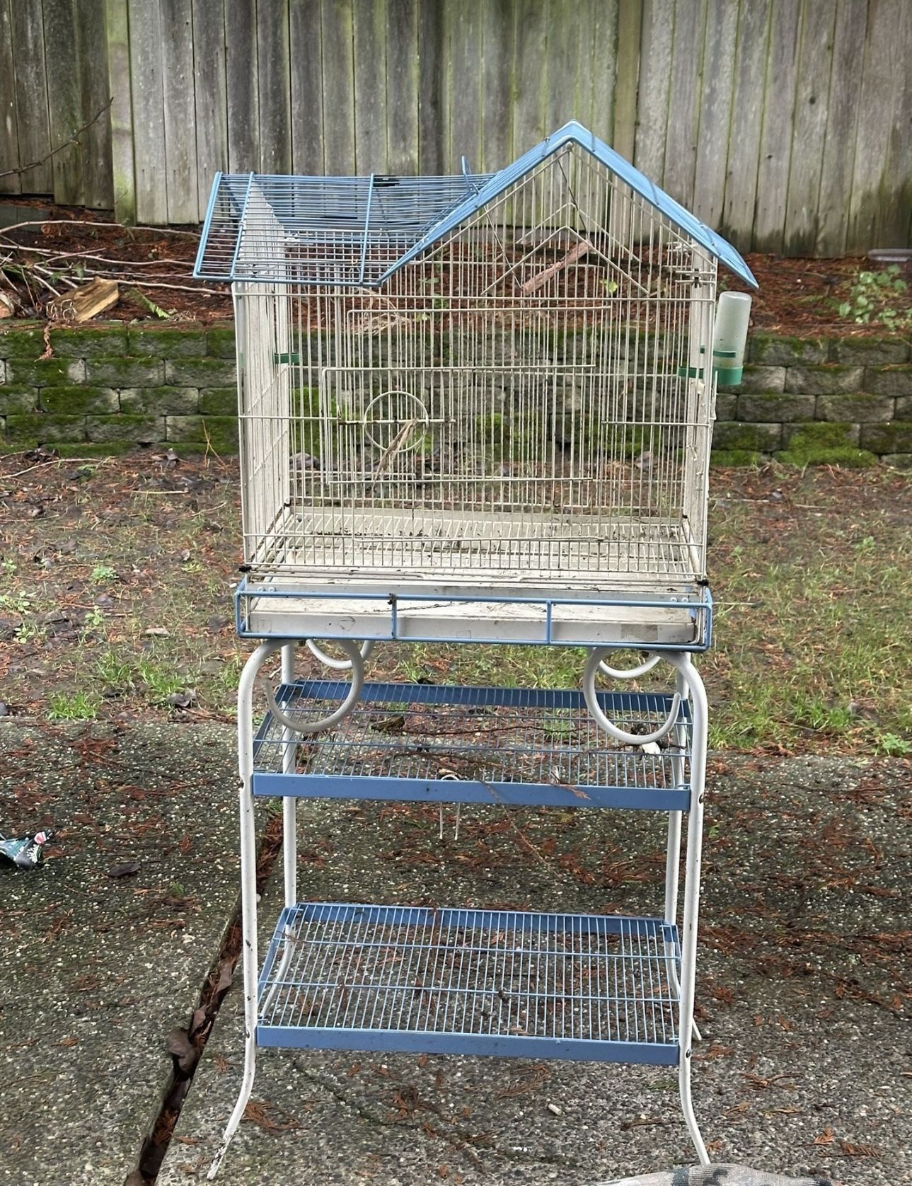 Birds Cage