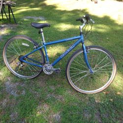 RALEIGH. C  200 MOUNTAIN BIKE. WITH.   FATBOY TIRE