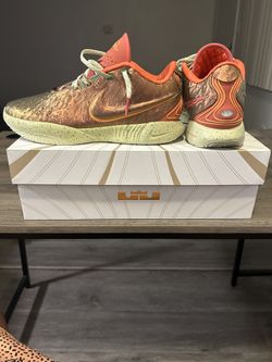 LEBRON XXI size 10.5 (Brand New)