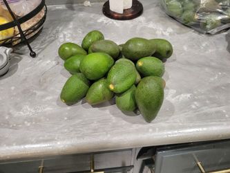 Avocado