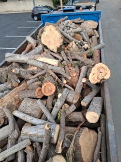 Free Firewood 🔥 Gratis Leña
