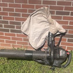 Craftsman Leaf Blower / Vac Doesn’t Work Needs Repairs Cleaning Out Garage