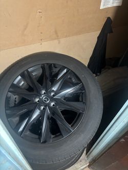 19 inch 2025 wheels