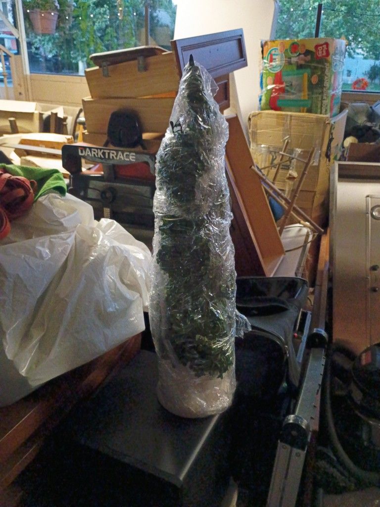 Decorating Small New Tree