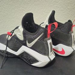 NIKE  LEBRON  MENS  SIZE 11.5   $30