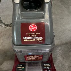 Steam vacuum 