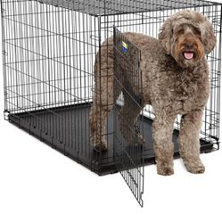 Dog Crate 