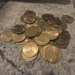 One Dollar Coin Sacagawea and President 