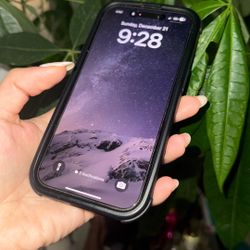 iPhone 16 Pro + Charging Case