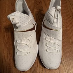LeBron 14 White Wines Size 14