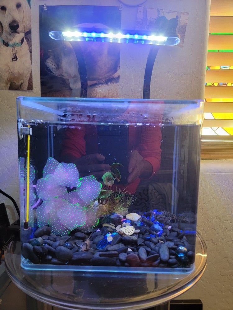 Acrylic 3 Gal Marineland 