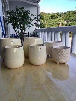 Assortment of White Plant Pots
