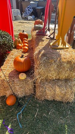 Hay bales 15 available