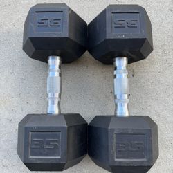 35LB Dumbbells 