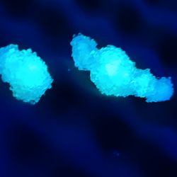 Kryptonite (2 Crystals)