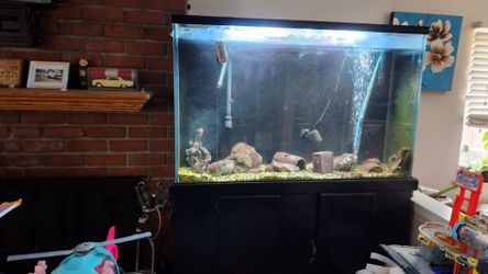 Huge fish tank 100 gal