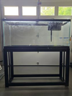 55 Gallon  fish tank and 
Stand and HOB filter