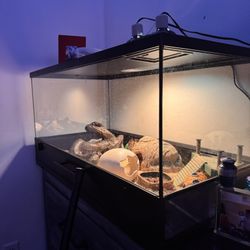 20 Gallon Reptile Cage