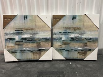 Two Camvas Wall Art Size 16x 16 Each