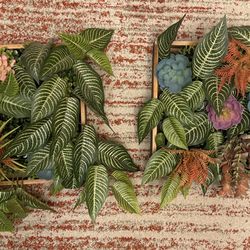 Plant Living Wall Art