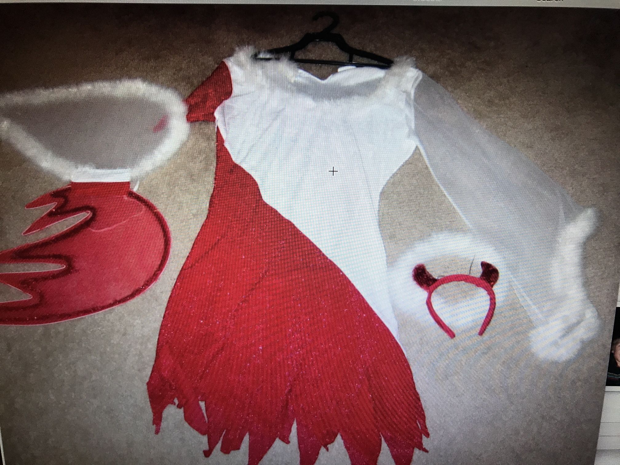 Halloween costume size medium