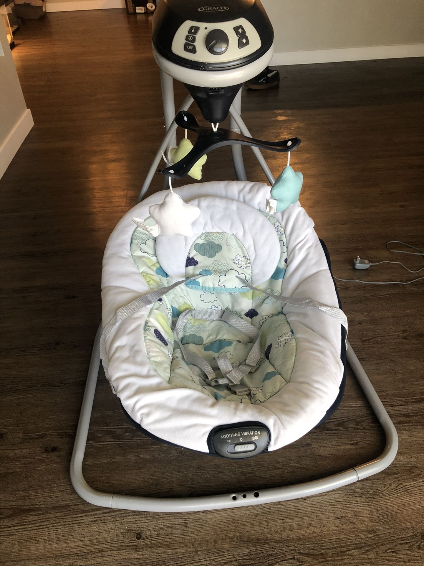 Graco Baby Swing