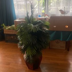 Plastic Plant.  Cash Pick Up $5