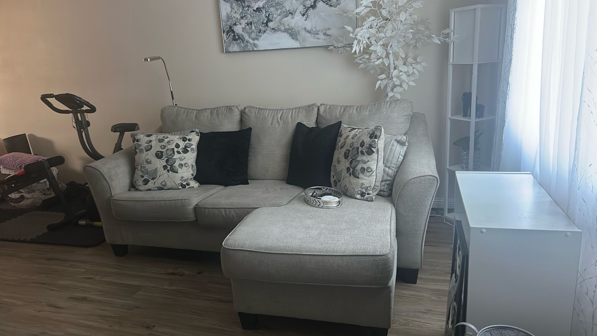 Gray Tone Couch With Pillows
