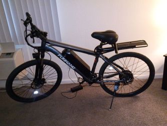 Electric mountain bike