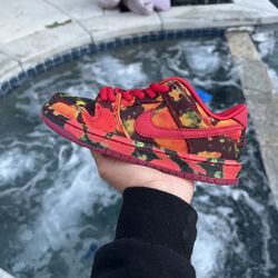 Nike SB Dunk Low “The Wizard of Oz Poppy Field” Size 12C and 8.5