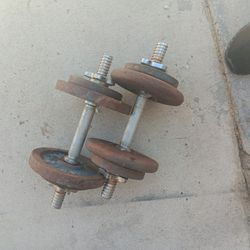 Dumber weights about fifteen pounds total