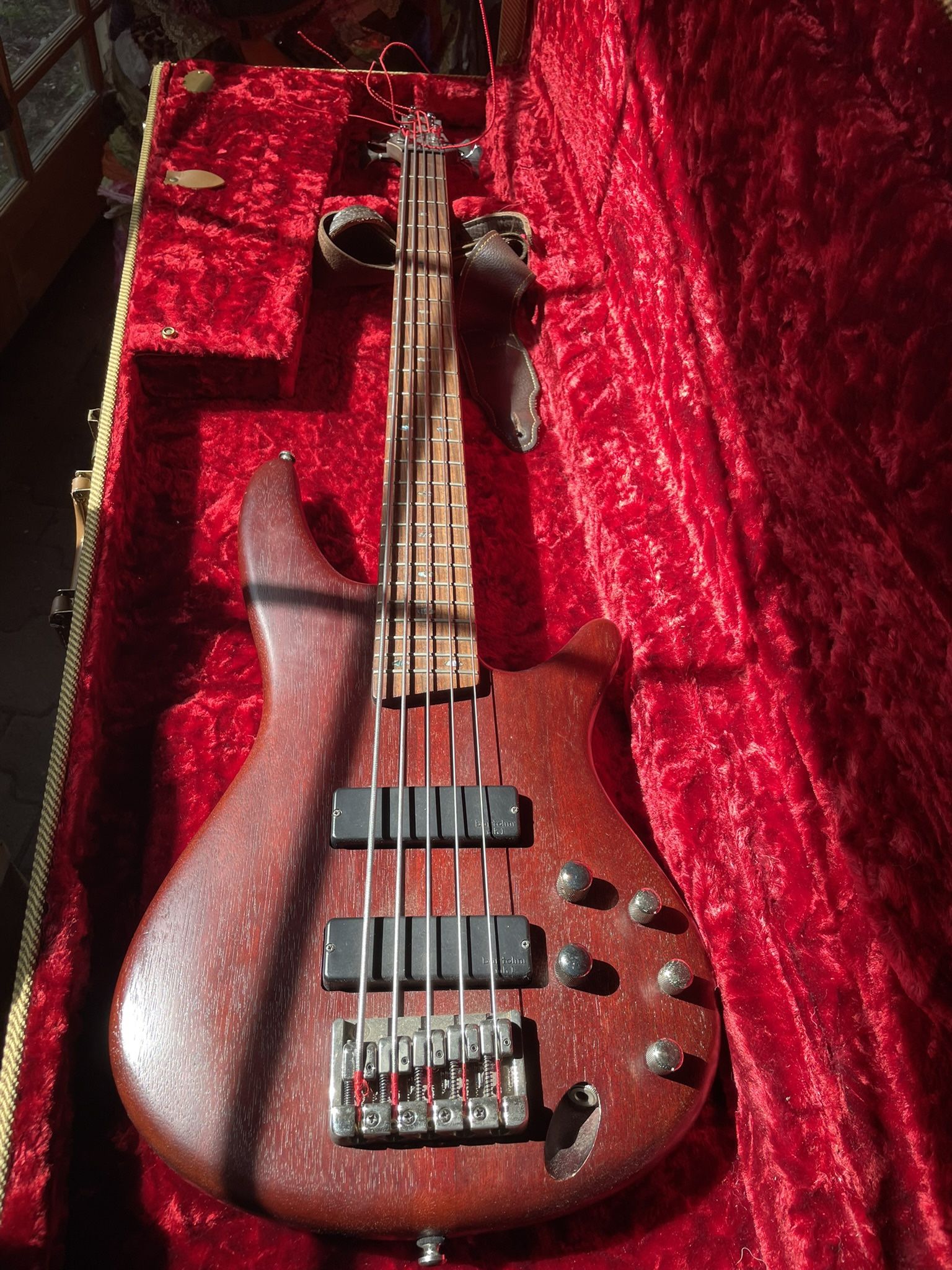 Ibanez 5 String Guitar